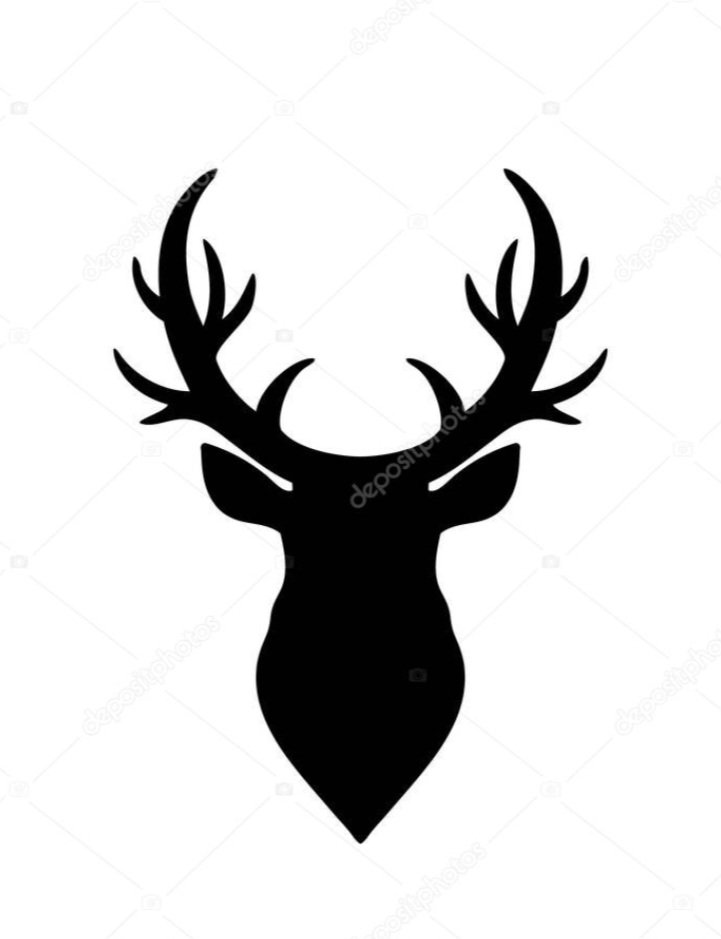 parcaotusbes