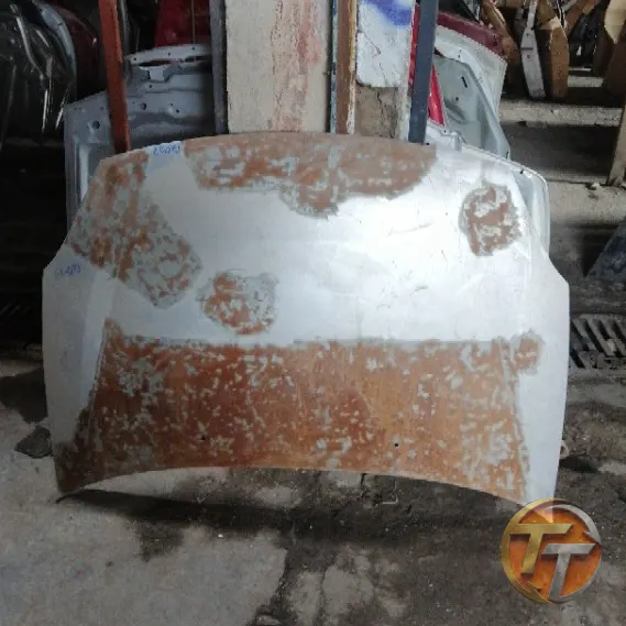 RENAULT SYMBOL Thalia kaput Ek-073 Esan