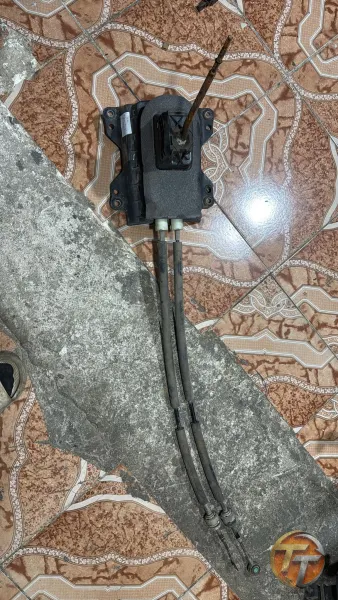 Linea vites mekanizması