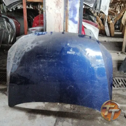 VOLKSWAGEN Jetta kaput Ek-070 Esan