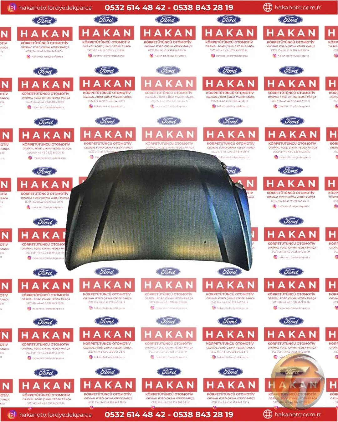 MONDEO KAPUT