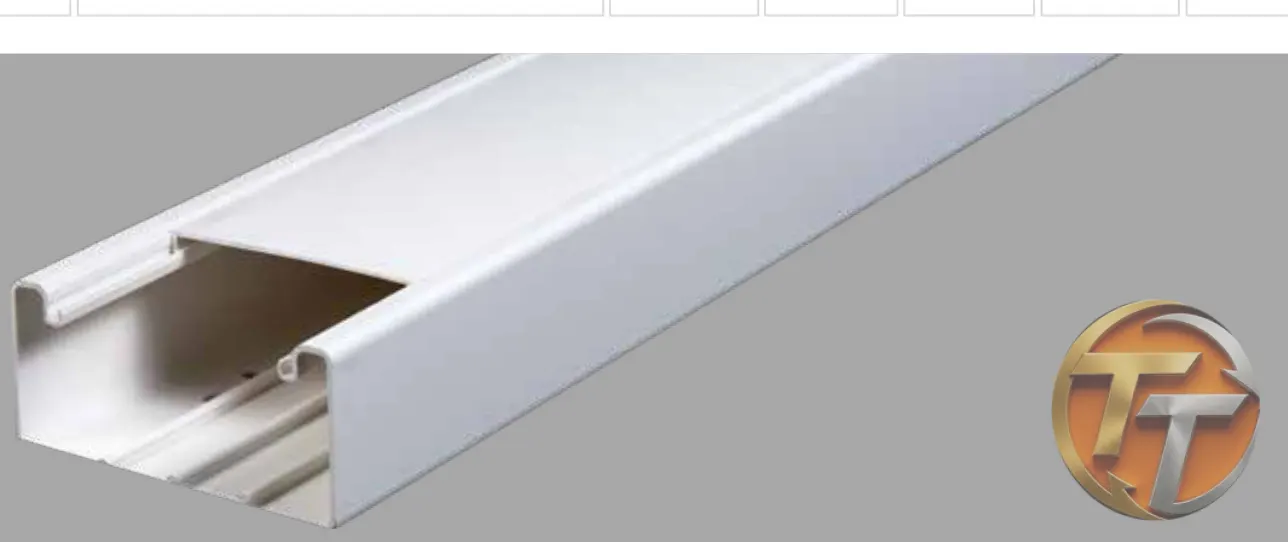 Zeybek 100x35 mm İçten Kapaklı Kablo Kanalı ZB.PK.100035