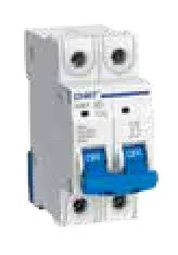 Chint Otomatik Sigortalar NXB NB7 2 Kutup 63 814098