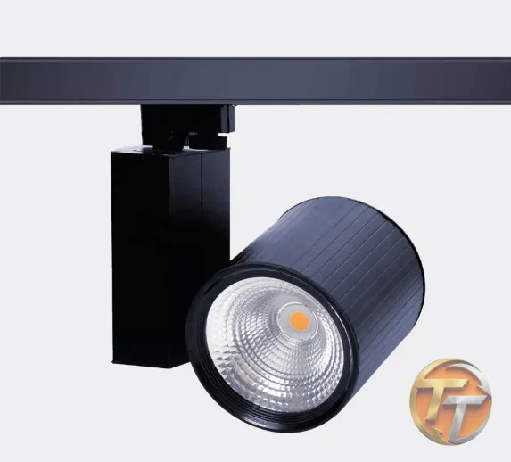 Pedaş Belisa 20W Sıva Üstü LED Ray Spot 4221-123-00