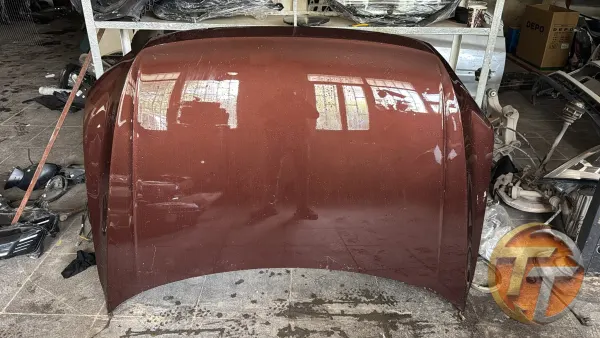 Wolkswagen Tiguan 2020 2023 kaput boya korumalı