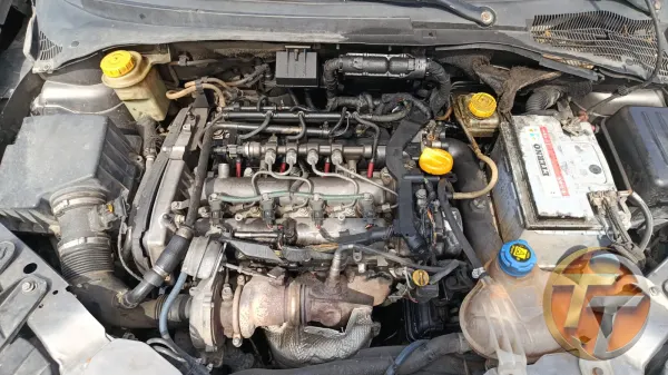 Linea 1.6 motor şanxımna