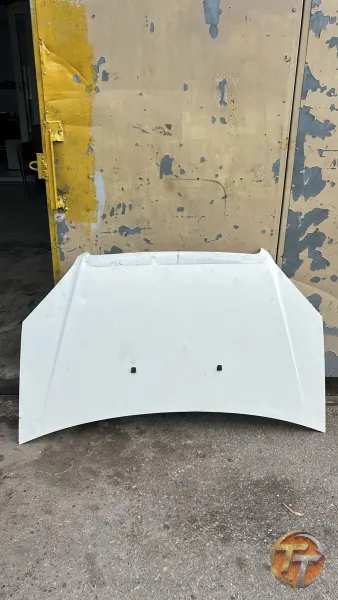 Fiat Doblo 2 moto kaputu
