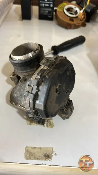 Pejo 301 gaz kelebeği