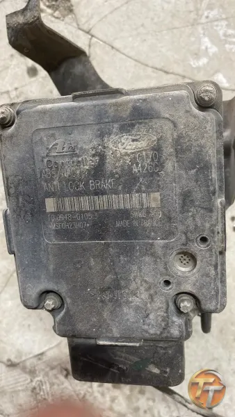Focus 1 Abs