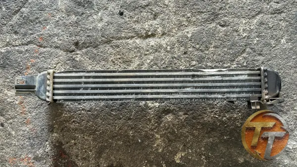 Fiat fioniro intercool gurubu