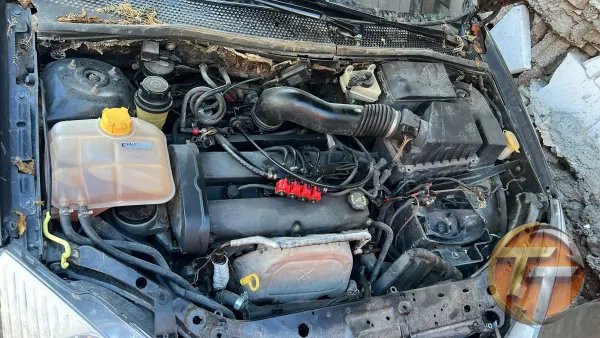 Ford Focus motor şanzuman