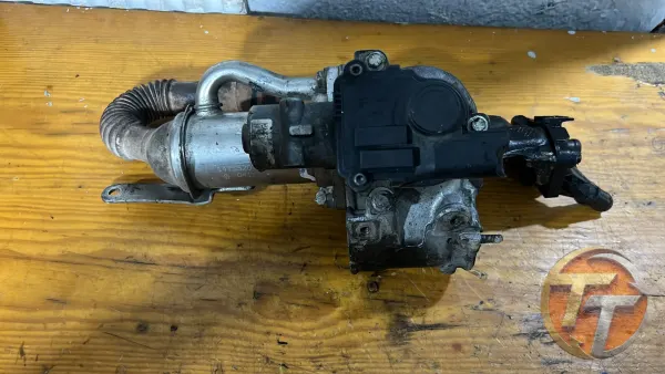 Renault Sybol egr