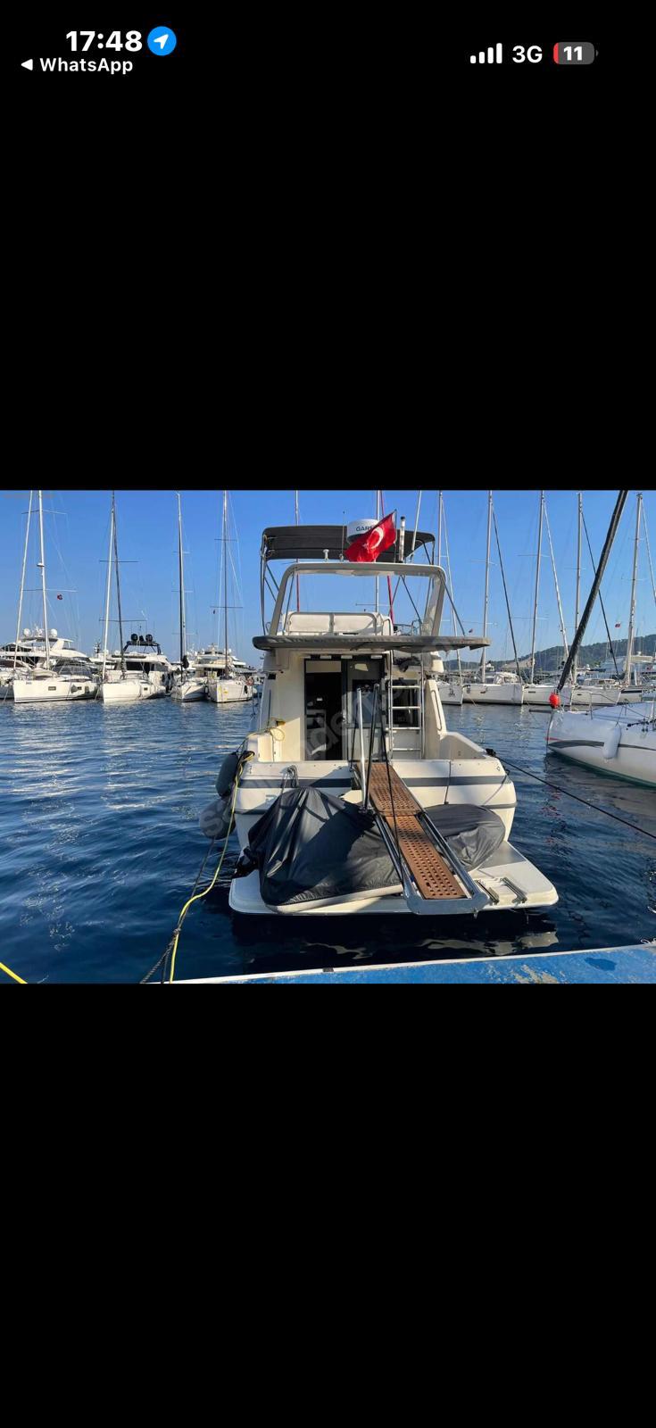 Bayliner element 