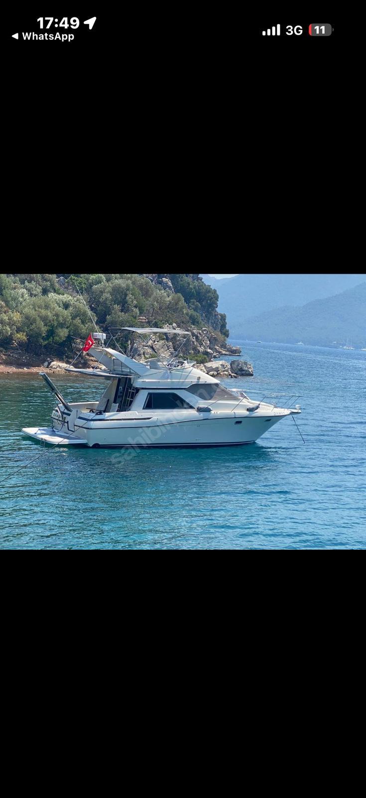 Bayliner element 