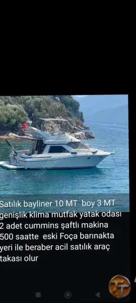 Bayliner element 