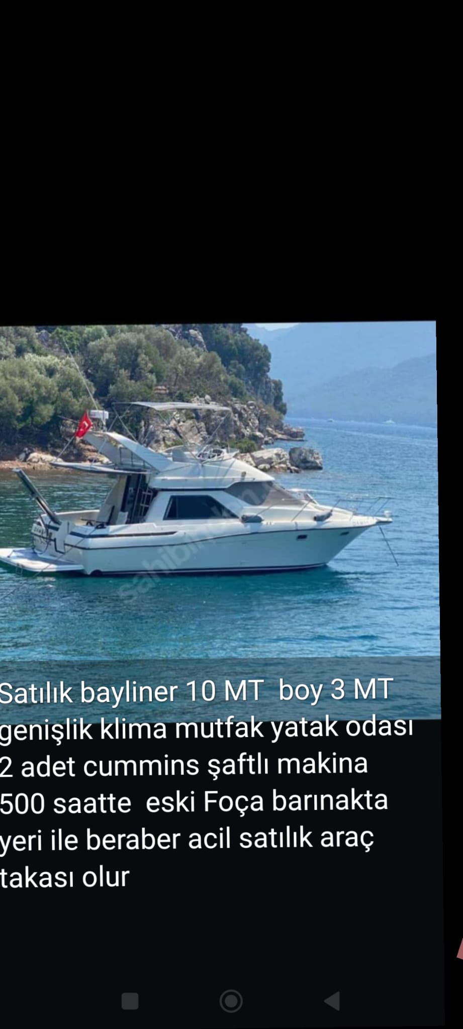 Bayliner element 