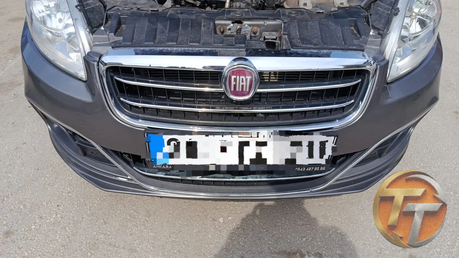 Linea ön