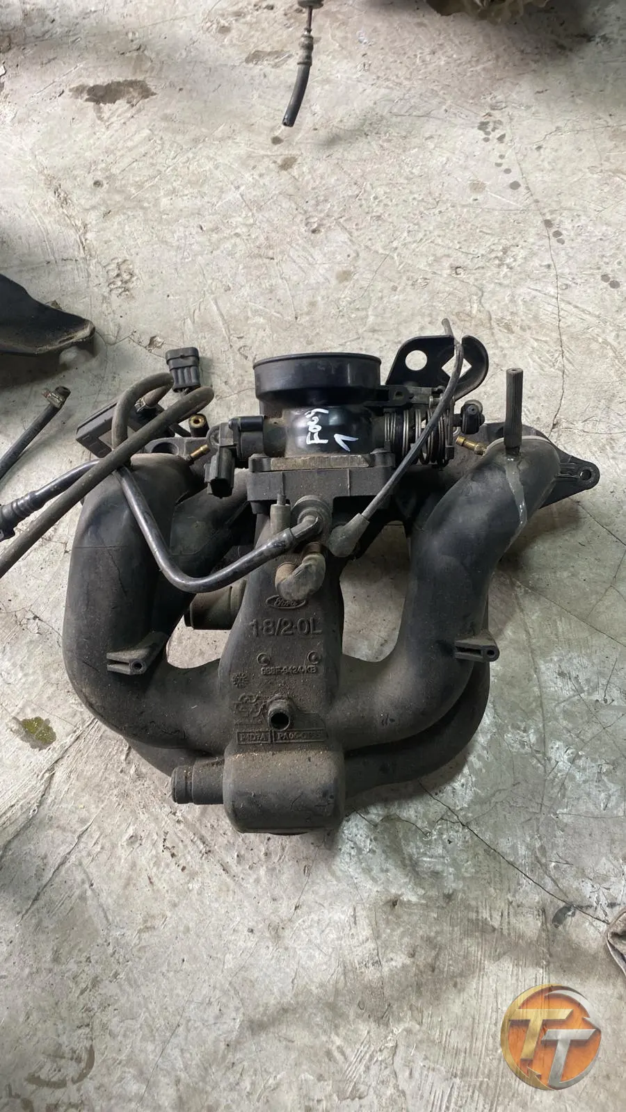 Focus 1 Emmi Manifold