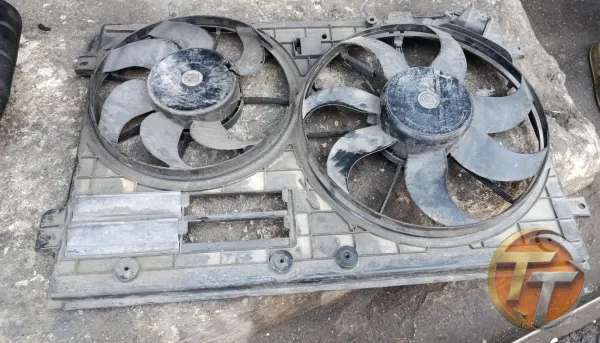Volkswagen cetta fan