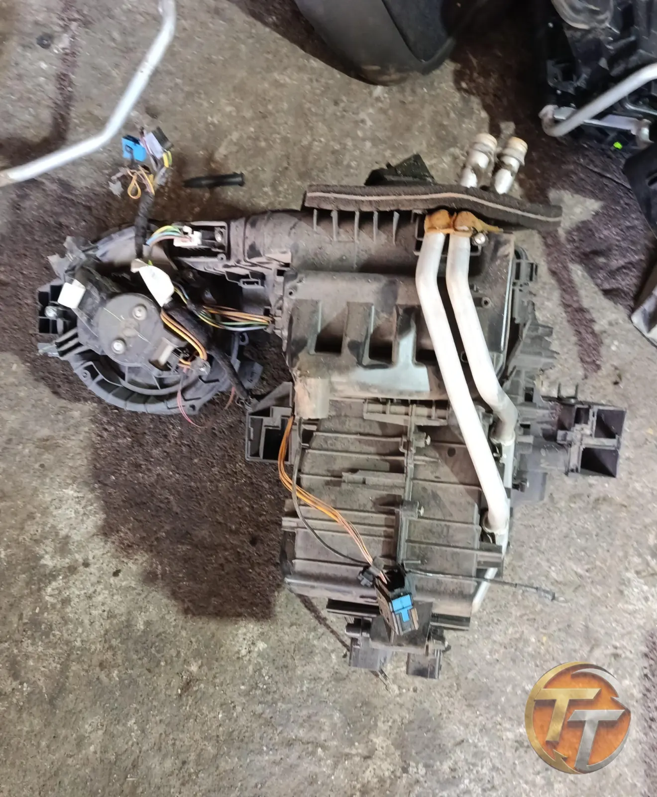 Fiat linea Gümbet kılimalı orjinal