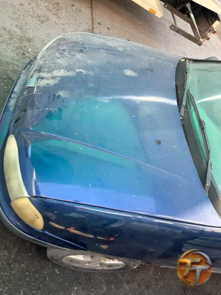 Fiat palio ön kaput