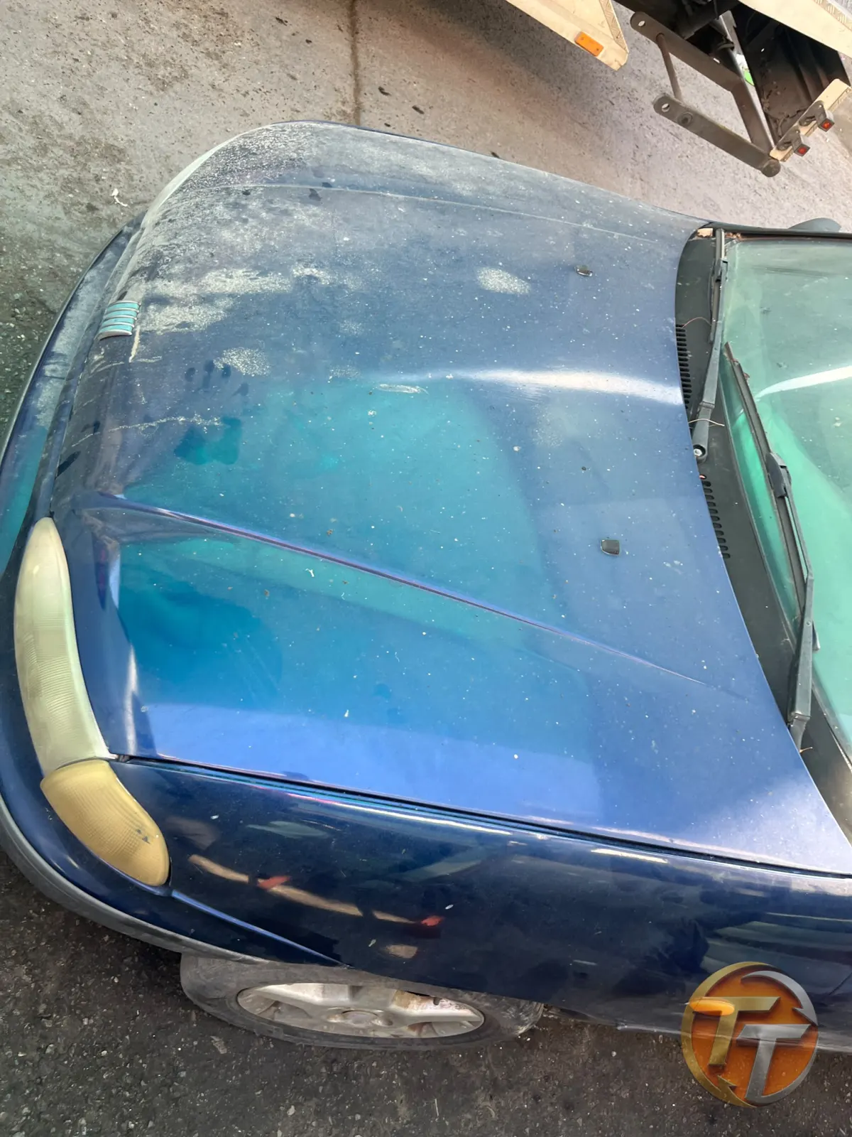 Fiat palio ön kaput