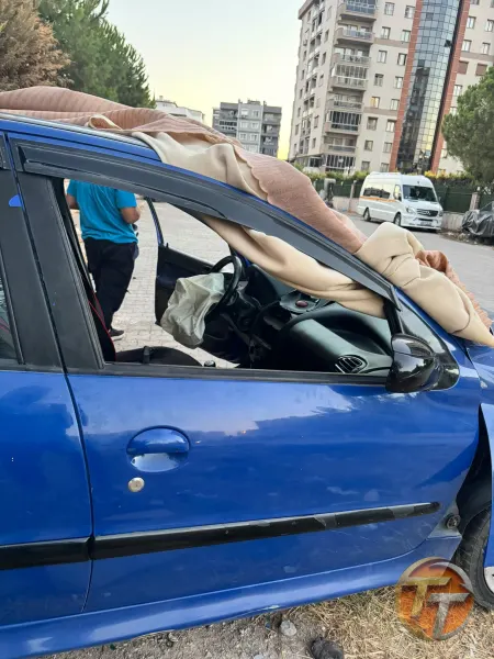 Peugeot 206 sağ ön kapı