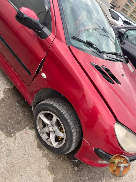 Peugeout 206 sağ ön çamurluk