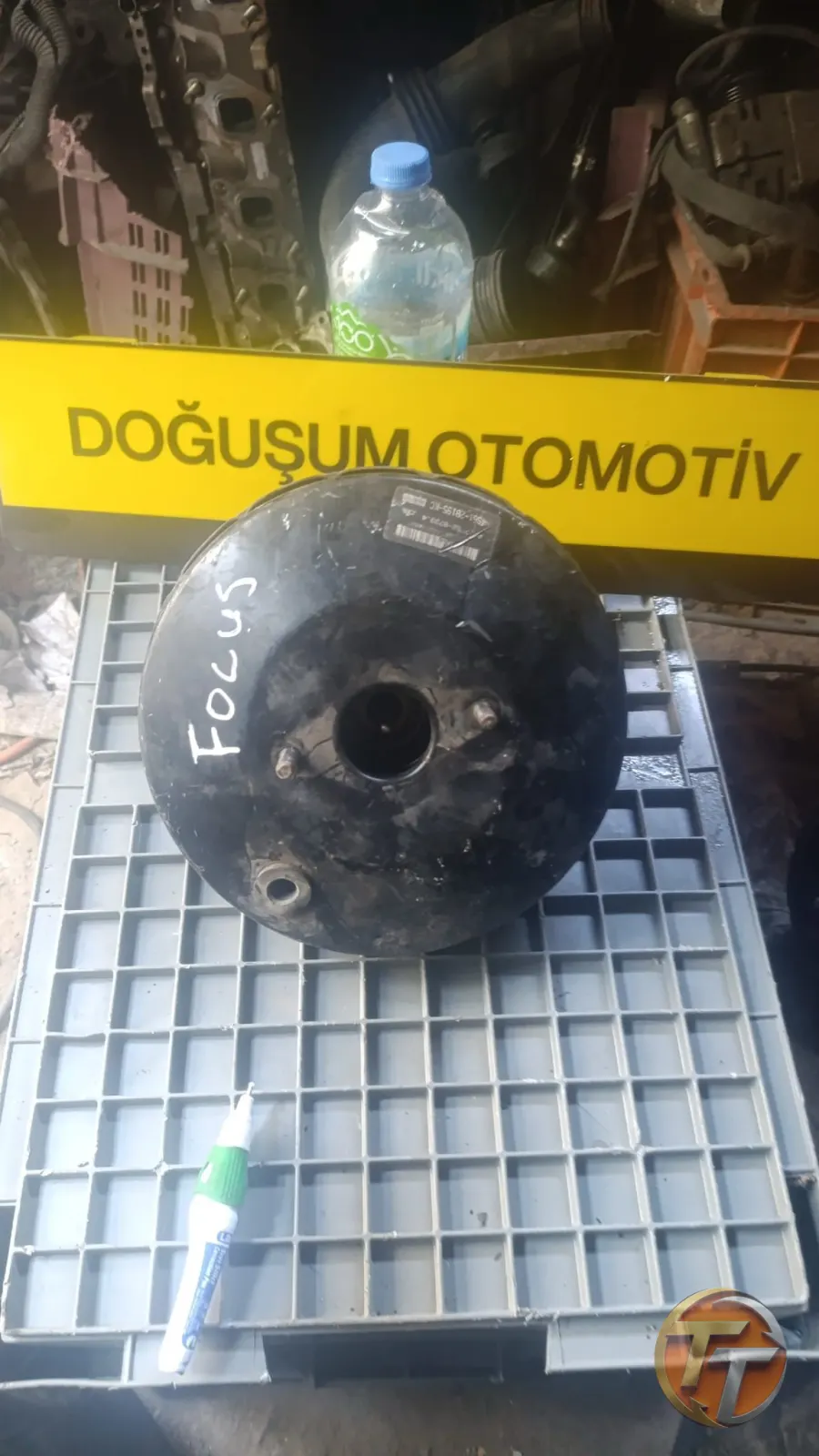 Ford Focus Vestanoz