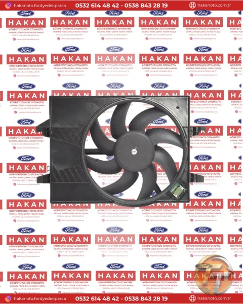 FİESTA KOMPLE FAN