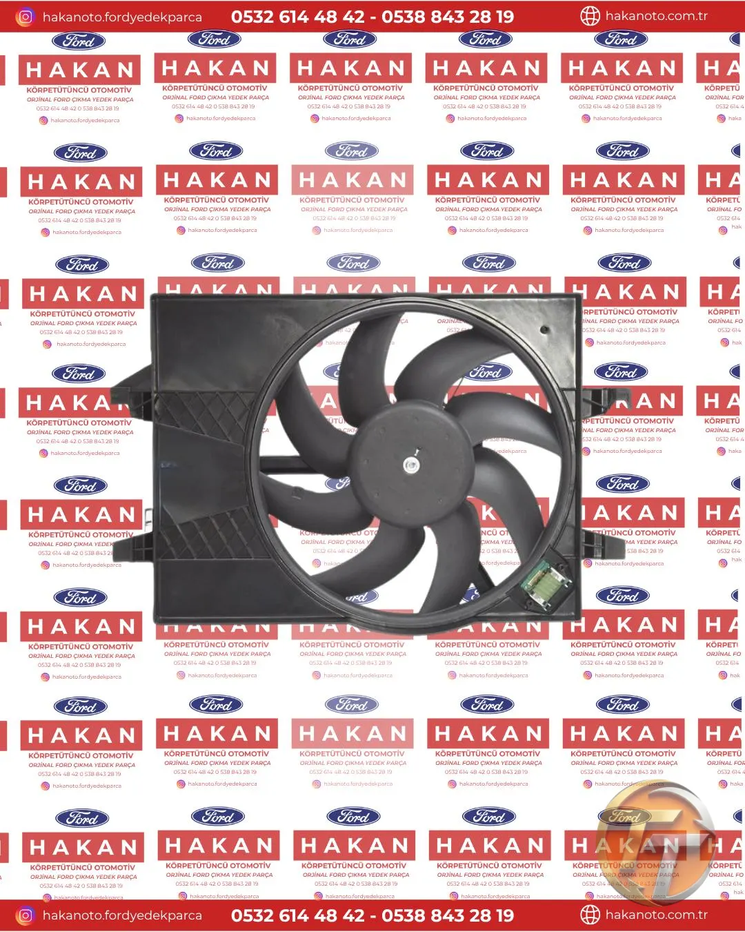 FİESTA KOMPLE FAN