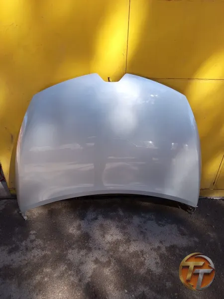 RENAULT CİLO 4 BOYASIZ HATASIZ