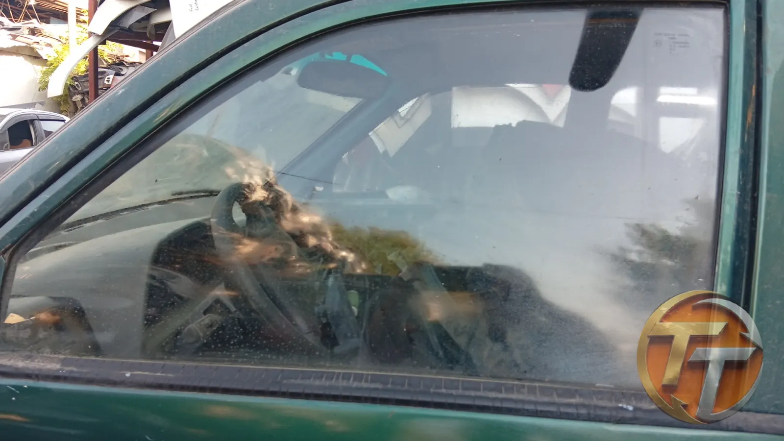 Tata parçası