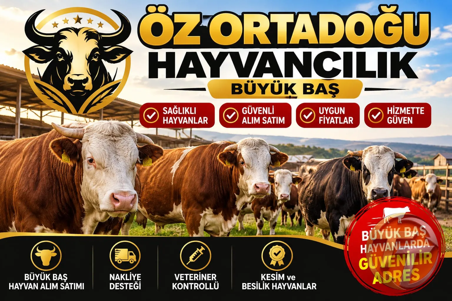 ÖZ ORTADOĞU HAYVANCLIK BÜYÜK BAŞ