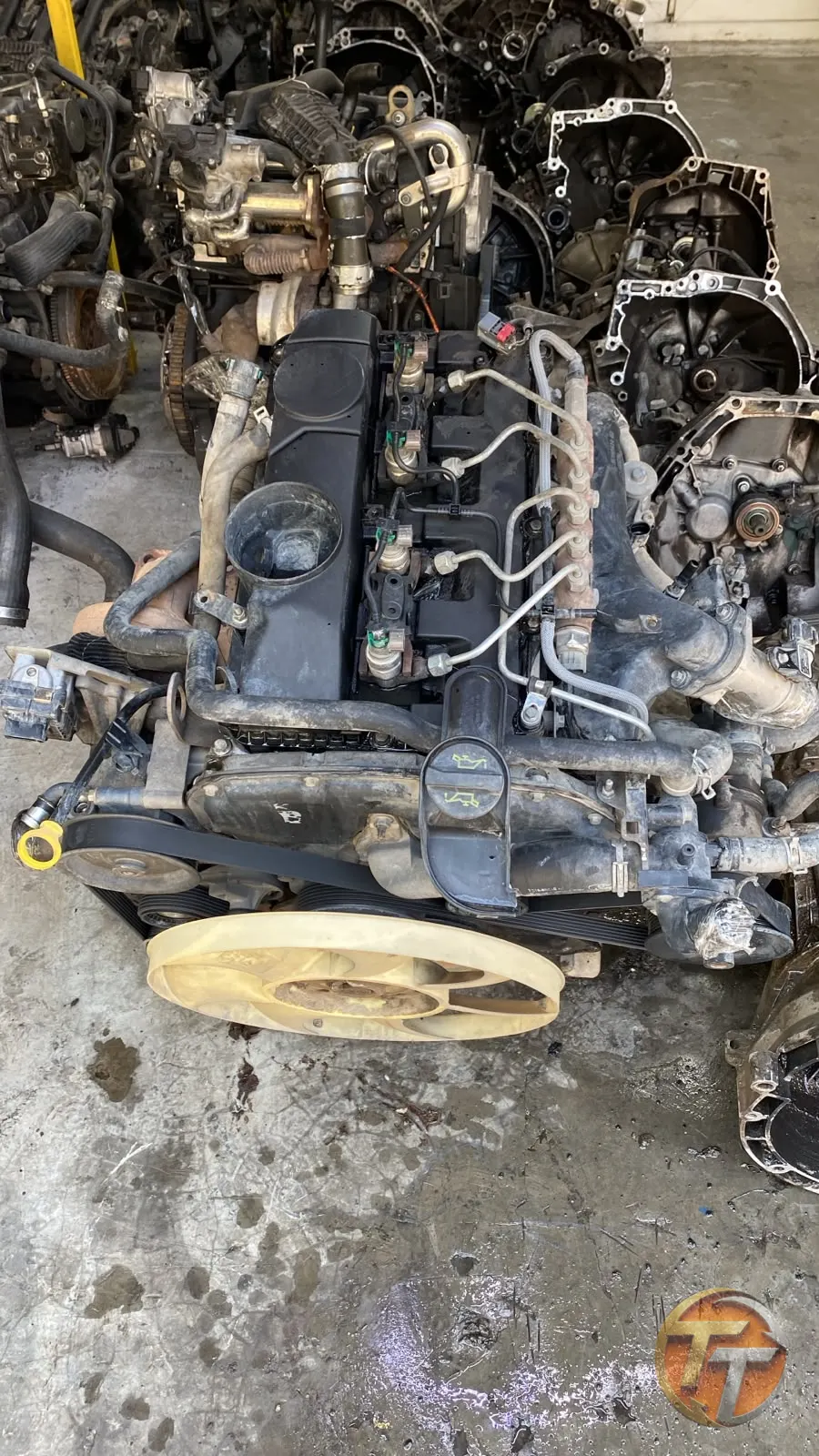 Ford transit motor