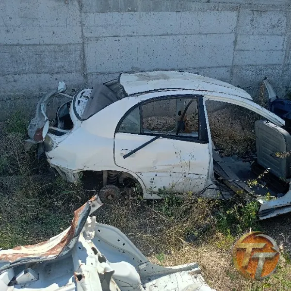 Kia Carnival şase