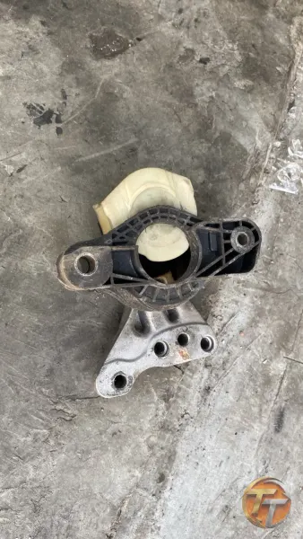 301 elize motor kulağı