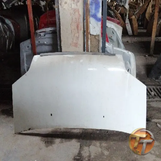 FORD CONNECT kaput Ek-066 Esan