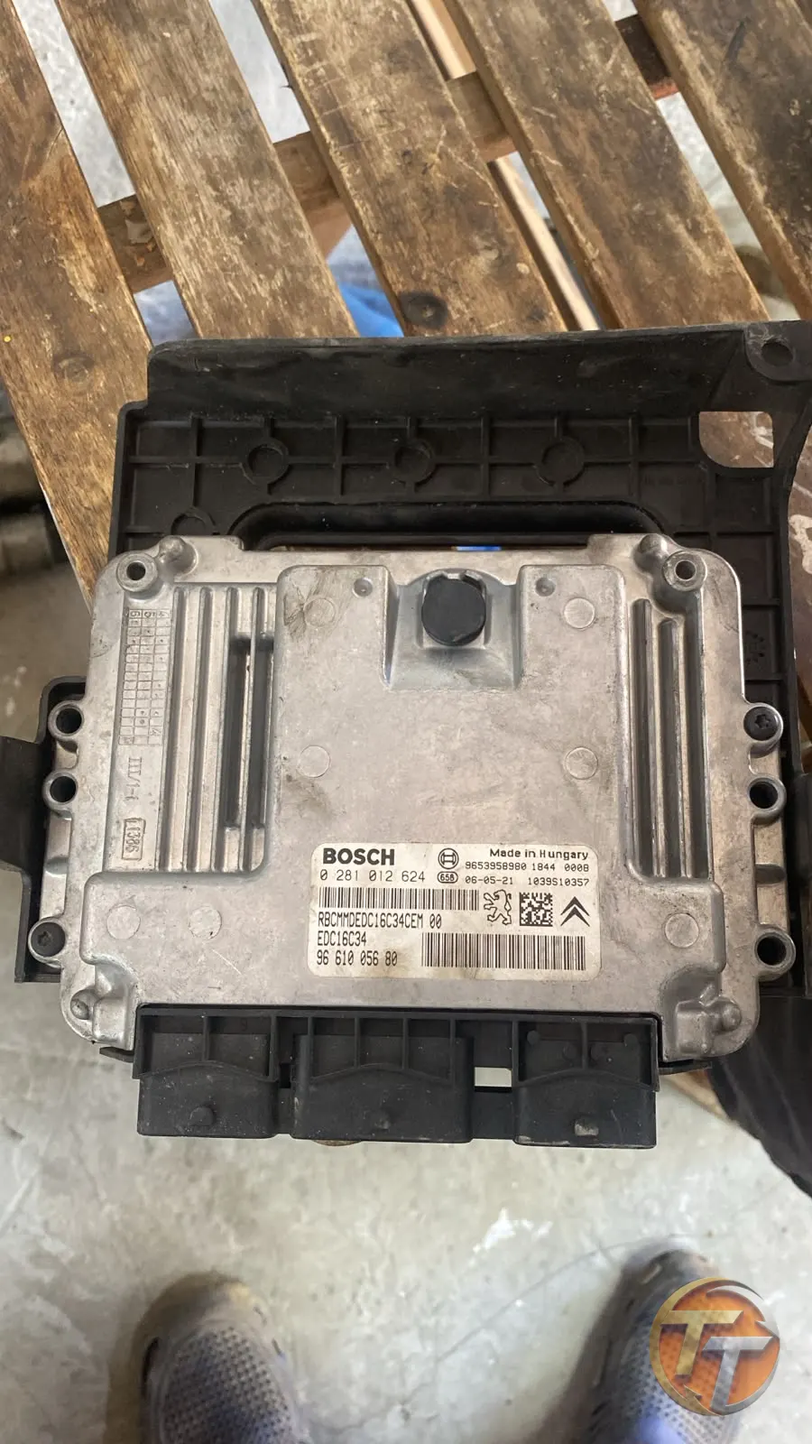 C5 motor beyni