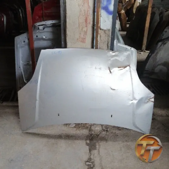 FORD FİESTA kaput Ek-119 Esan