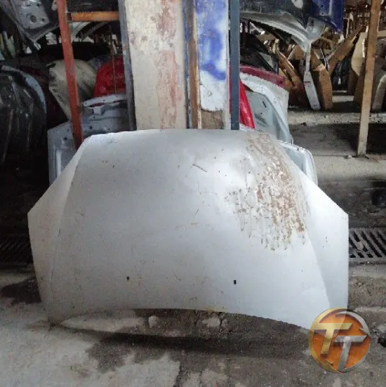 FORD FOCUS 2 kaput Ek-054 Esan