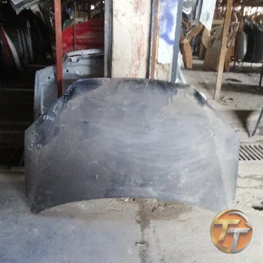 FORD FOCUS 2 kaput Ek-241 Esan