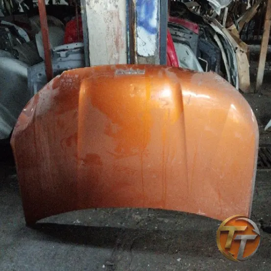 PEUGEOT 2008 kaput Ek-011 Esan