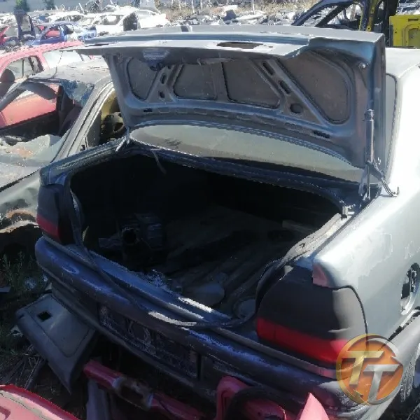 RENAULT 19