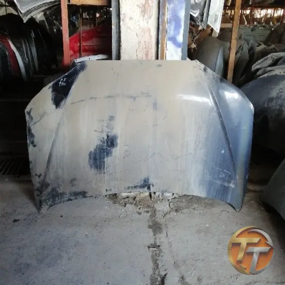 HYUNDAİ Santa Fe kaput Ek-190 Esan