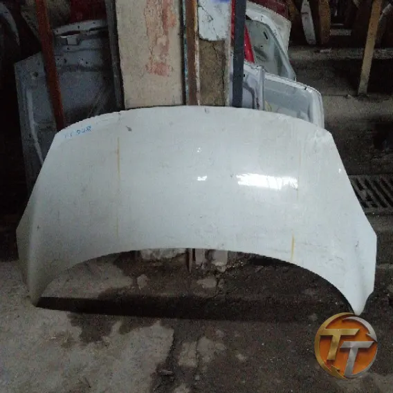 RENAULT SCENIC kaput Ek-048 Esan