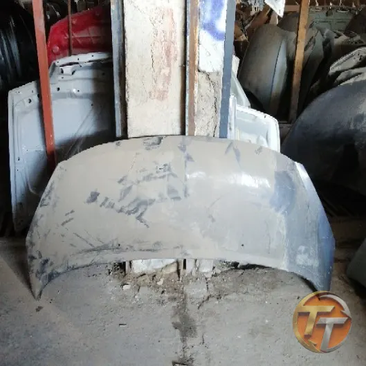 PEUGEOT 207 kaput Ek-201 Esan