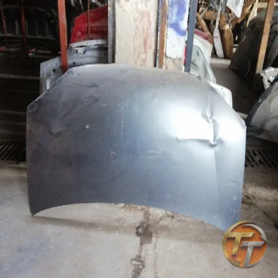 VOLKSWAGEN GOLF 5 kaput Ek-131 Esan