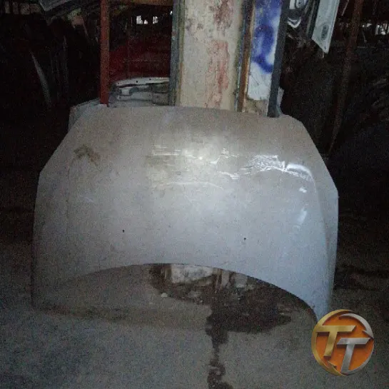 PEUGEOT 307 kaput Ek-216 Esan