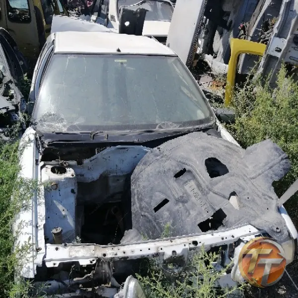 RENAULT 19
